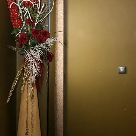 ホテル Dom Joao エントロンカメント